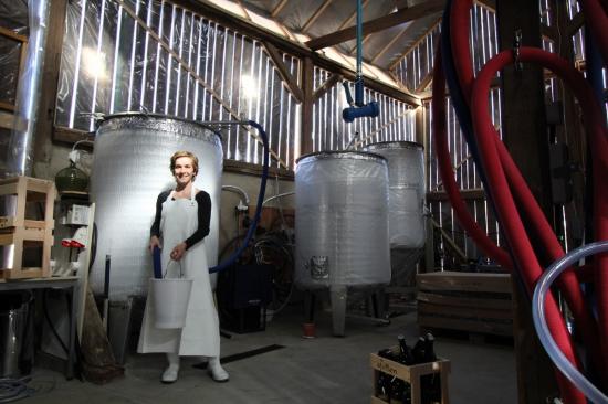 Anne devant les cuves de fermentation